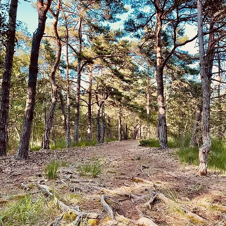 Appartamento Kleine Krabbe