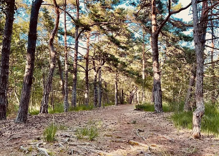 公寓 Kleine Krabbe